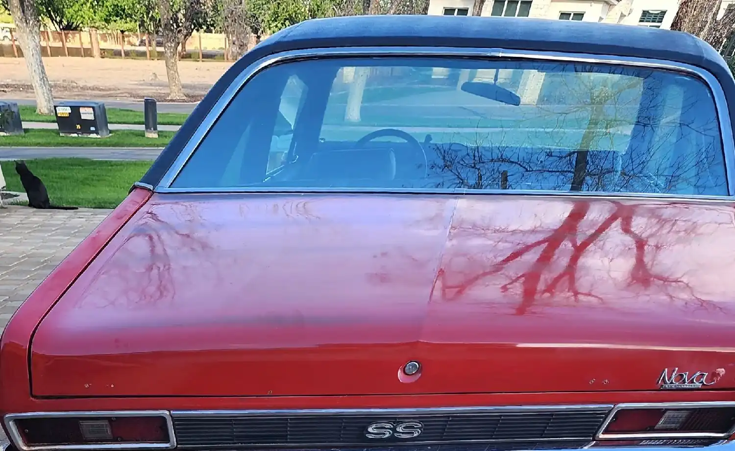 1972 Chevrolet Nova SS